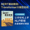 预售 预计2月末发货 BERT基础教程：Transformer大模型实战 商品缩略图0