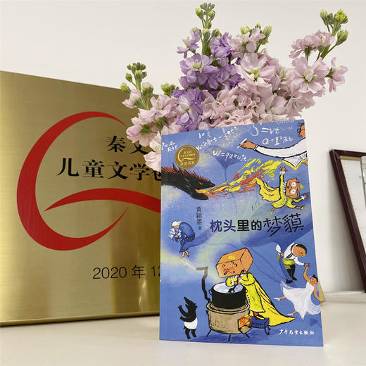 枕头里的梦貘  商品图2