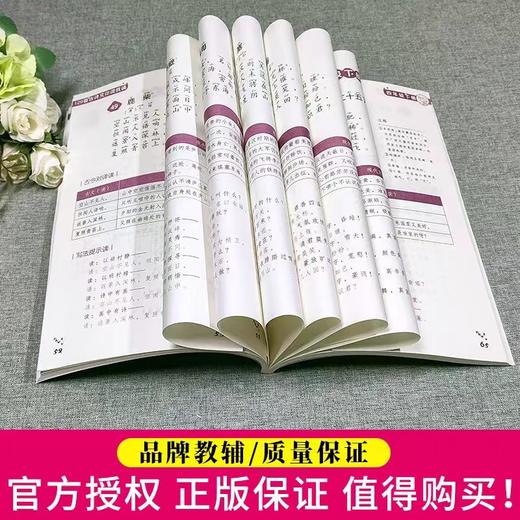 129首古诗文 你读我诵(赠2本漫画作文本) 必背古诗文 刘宪华立小言 商品图4