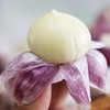 蒜中“贵族”【大理紫皮蒜】果径40mm以上果王 精选独蒜 味郁汁足 不论生吃作调料味道俱佳 商品缩略图5
