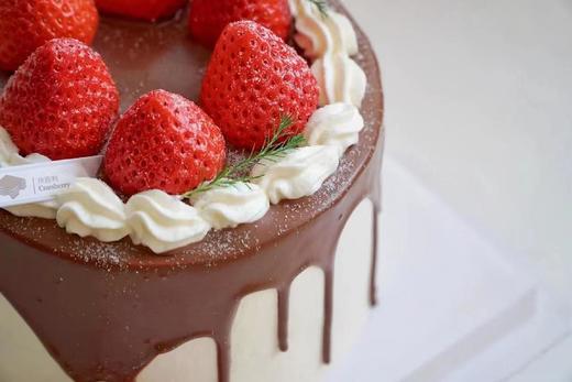 椰风艾丽 商品图1