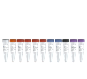 TruePrep RNA Library Prep Kit for Illumina