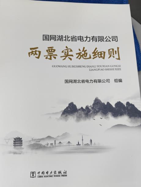 国网湖北省电力有限公司两票实施细则 商品图0
