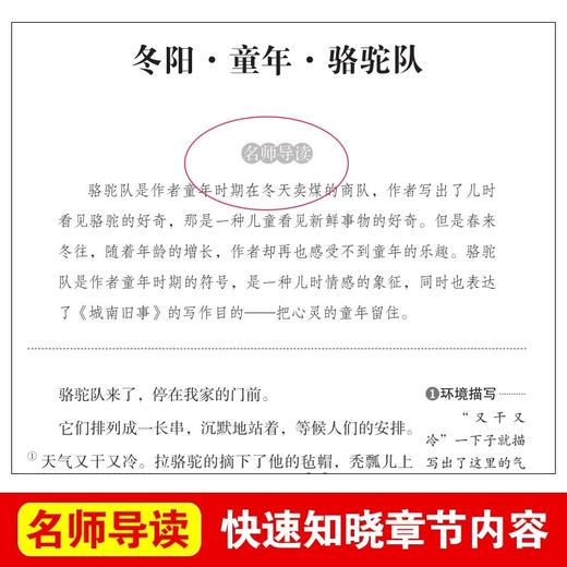 呼兰河传萧红著正版五年级下册必读的课外书全套骆驼祥子原著老舍繁星春水冰心 老师推荐5下阅读书籍完整版青少版经典书目呼和兰传 商品图1