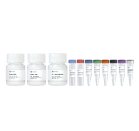 Hyperactive pG-MNase CUT&RUN Assay Kit for PCR/qPCR