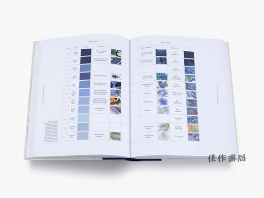 Nature's Palette: A Color Reference System from the Natural World / 自然界调色板：自然界的色彩参考系统 商品图3