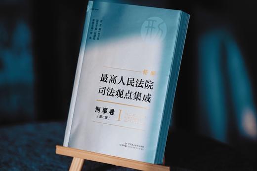 《新编最高人民法院司法观点集成·刑事卷》（第二版） 商品图6