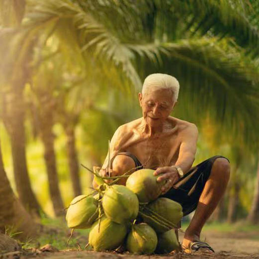 泰国原装椰子水 商品图4