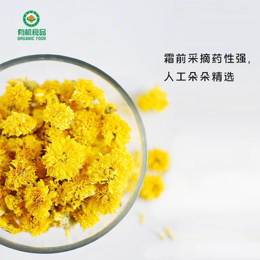 有机怀菊花2瓶（30克/瓶） 商品图3