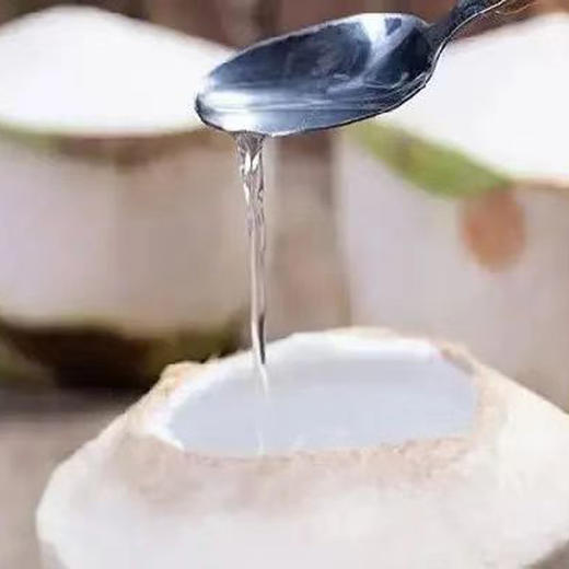 泰国原装椰子水 商品图2