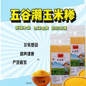 新疆五谷潮玉米糁460g 非转基因 木垒产地 色泽金黄新疆美食特产