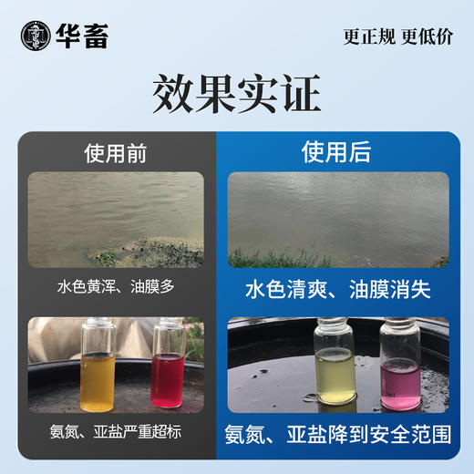 华畜高铁底净500g 改底除臭净水解毒 商品图3