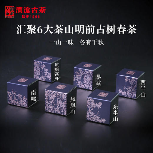 【会员日专属】澜沧古茶七山云集  纯料古树春茶真味大礼包-888套组 商品图6