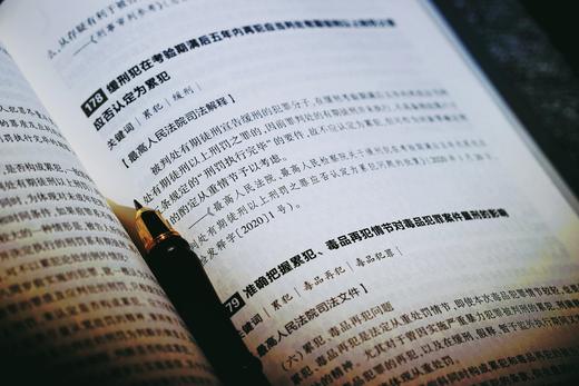 《新编最高人民法院司法观点集成·刑事卷》（第二版） 商品图9