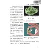 矿物的采集与收藏:山地探宝 商品缩略图2