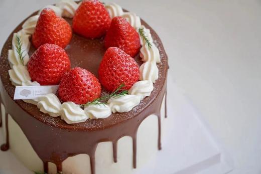 椰风艾丽 商品图2