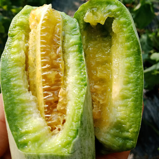 山东潍坊 羊角蜜瓜 商品图2