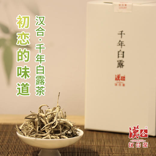 汉合茶叶 初恋的味道 千年白露茶 100g 商品图1