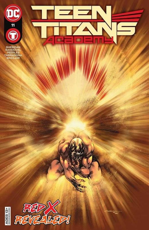 少年泰坦学院 支线 Teen Titans Academy（2021） 商品图8