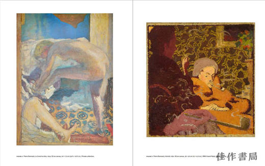 Pierre Bonnard:Beyond Vision / 皮埃尔·博纳尔：超越视野 商品图3
