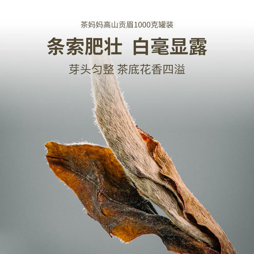 【会员专属】澜沧古茶高山贡眉散茶1000g罐装 商品图4