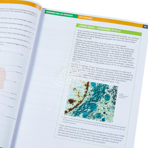 【中商原版】Edexcel International GCSE (9-1) Science Double Award 培生爱德思IGCSE国际科学双奖学生书课本 教材 教辅 商品图3