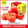 【绿行者】桃太郎番茄5斤 商品缩略图0