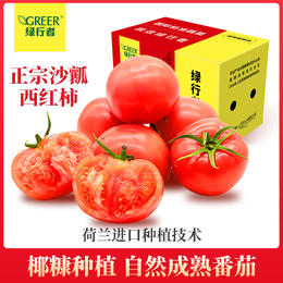 【绿行者】桃太郎番茄5斤