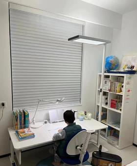 (包邮)Waldmann沃达迈儿童护眼落地灯 /大路灯（三种款式）