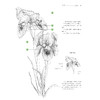 《绘制生命：植物插画艺术》 商品缩略图6