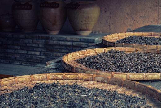 荒山秘境 云南古树白茶 商品图3