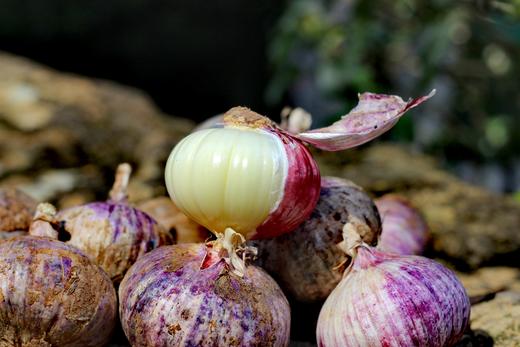 蒜中“贵族”【大理紫皮蒜】果径40mm以上果王 精选独蒜 味郁汁足 不论生吃作调料味道俱佳 商品图4