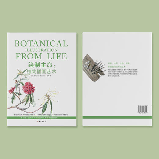 《绘制生命：植物插画艺术》 商品图14