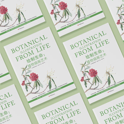 《绘制生命：植物插画艺术》 商品图2