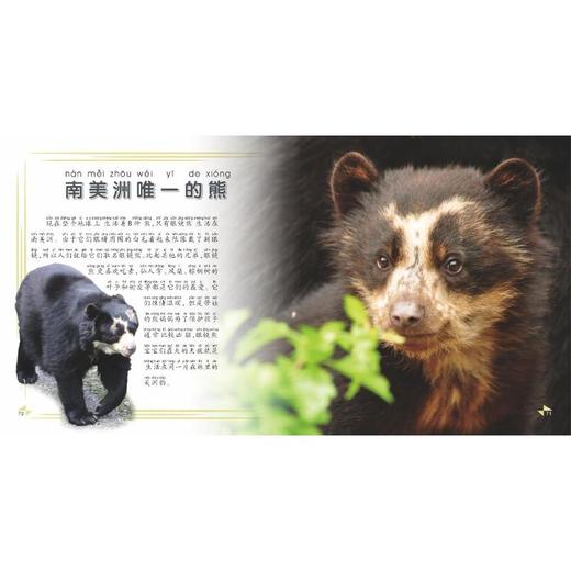 我的第一本动物知识大全 商品图2