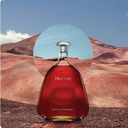 轩尼诗詹姆士干邑白兰地700ml 商品图1