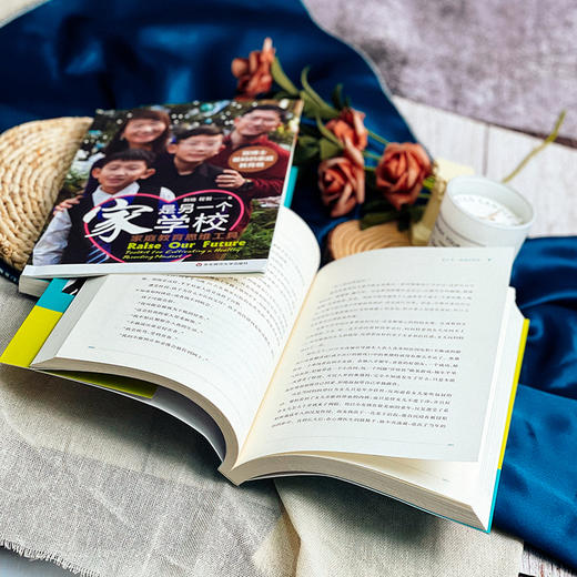 家是另一个学校 2册套装 给父母的12种家庭教育能力+家庭教育思维工具 双博士父母的家教观 美国教育图鉴 商品图10