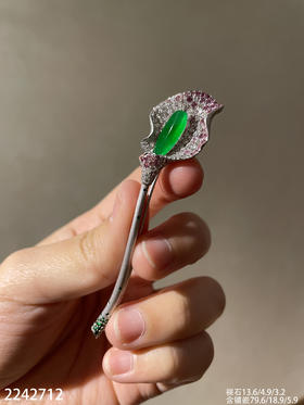 2242712，高冰艳绿玉兰花胸针。具体价格微信咨询