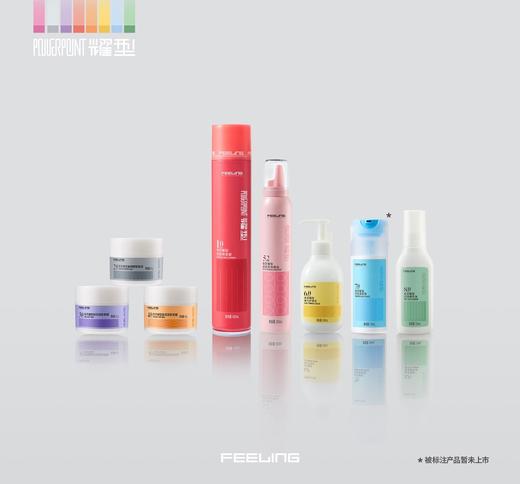 耀型造型品 商品图0