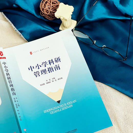 中小学科研管理指南 大夏书系 教师专业发展 商品图7