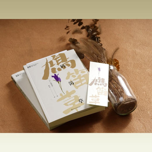 鸠笛草 商品图3