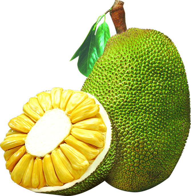海南黄肉红肉菠萝蜜新鲜水果热带水果整箱干苞木波萝蜜一整个生鲜特产  全国包邮