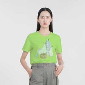 谜底短袖T恤女23春季新款特色印花圆领宽松短款百搭上衣231MT0015