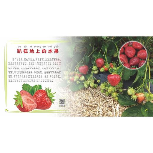 我的第一本植物知识大全 商品图1