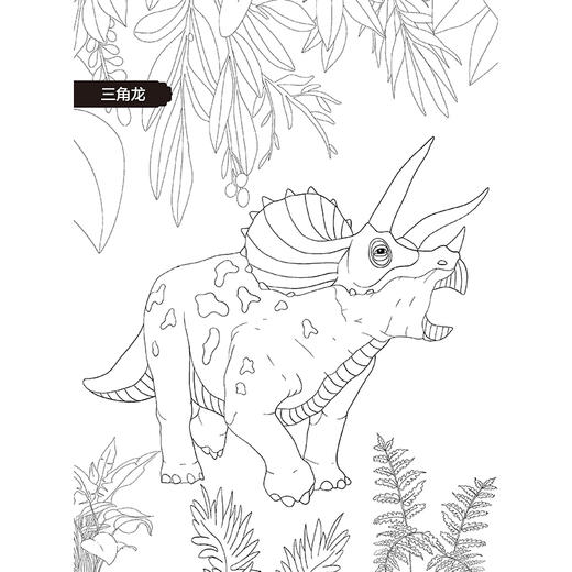 恐龙涂色 珍藏版 商品图1