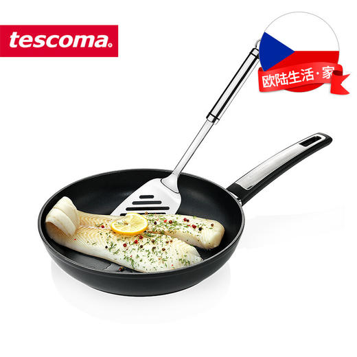 捷克进口/tescoma i-PREMIUM系列 煎锅不粘锅牛排平底锅 商品图2