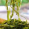 鲜8 头水有机紫菜/海带丝 | 紫菜幼嫩鲜香、海带丝脆爽顺滑、干净无沙、易泡发、简单美味、吃法多样 商品缩略图8
