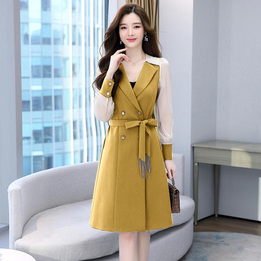 修身显瘦，春装气质拼接撞色连衣裙HR-WS22659 商品图3