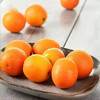 金桔约1斤装 商品缩略图1