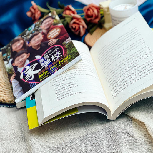 家是另一个学校 2册套装 给父母的12种家庭教育能力+家庭教育思维工具 双博士父母的家教观 美国教育图鉴 商品图9